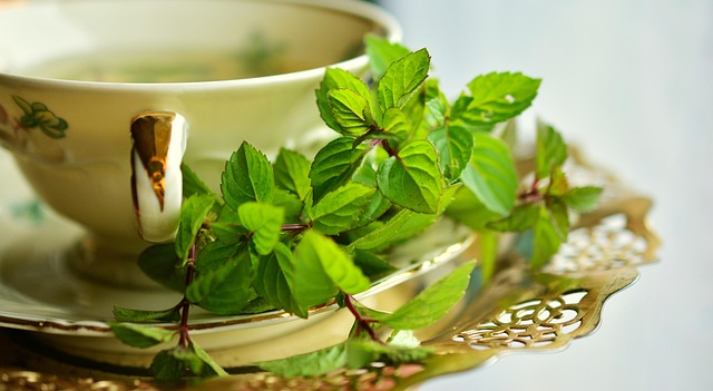 A Cup of Tea with Fresh Mint Leaves